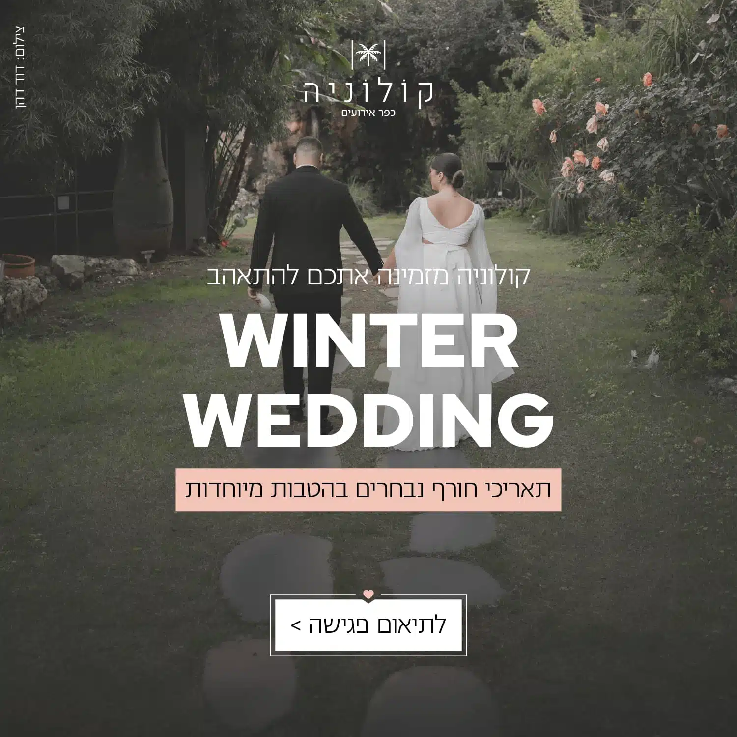 Colonia Winter Wedding